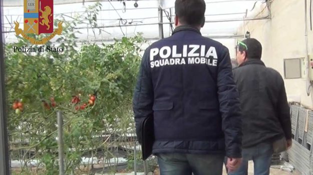 Lavoratori rumeni sfruttati nei campi e prostituzione a Comiso, in quattro a giudizio