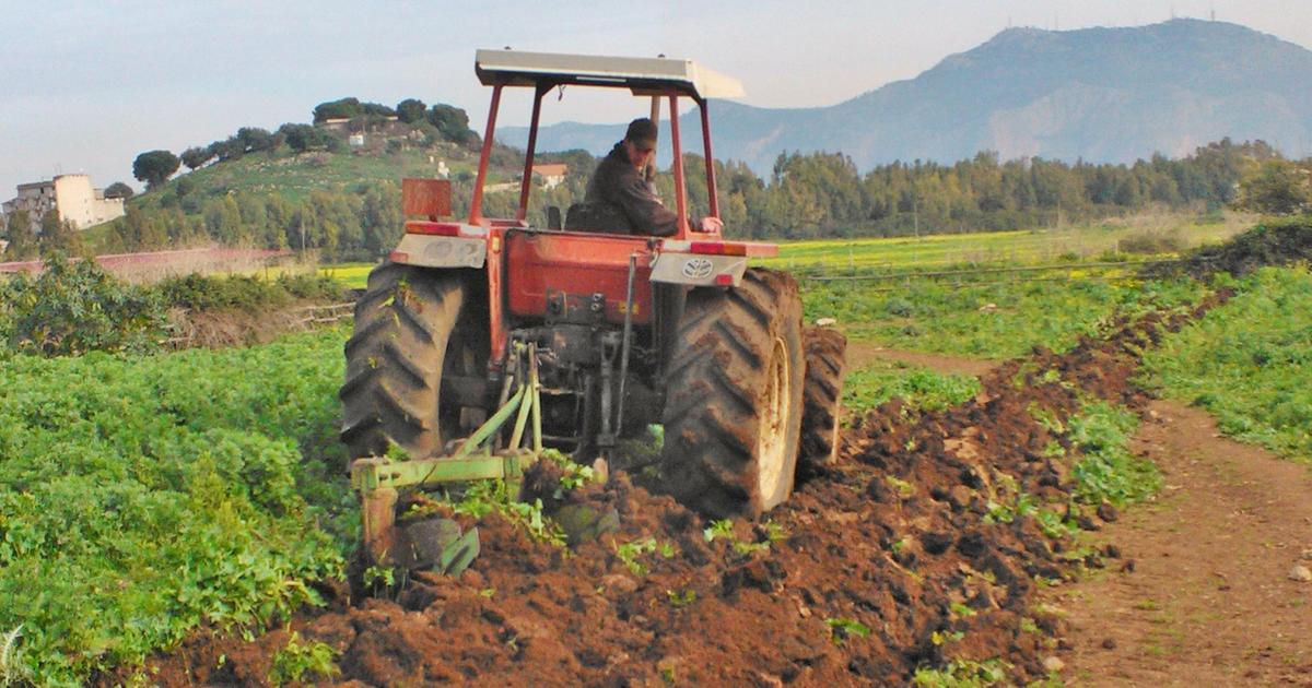 Le condizioni dei 30mila lavoratori agricoli etnei. «Oltre il nero, sfruttamento e paghe insufficienti»