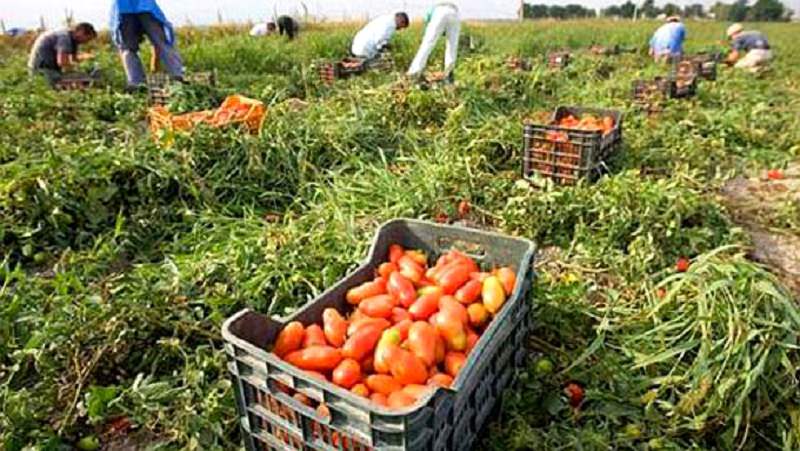 Schiavitù e tratta di esseri umani, condanne fino a 20 anni per i 