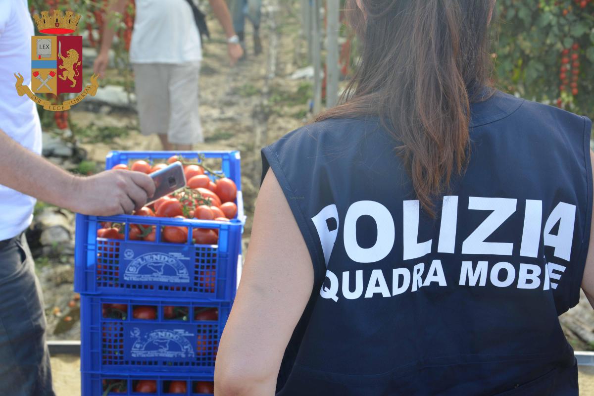 Operazione “Boschetari”, Romeni ridotti in schiavitù: Polizia arresta cinque persone