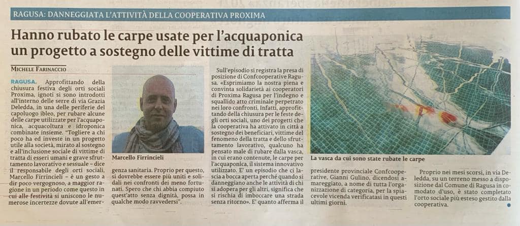 Hanno rubato le carpe usate per l'acquaponica un progetto a sostegno delle vittime di tratta - La Sicilia