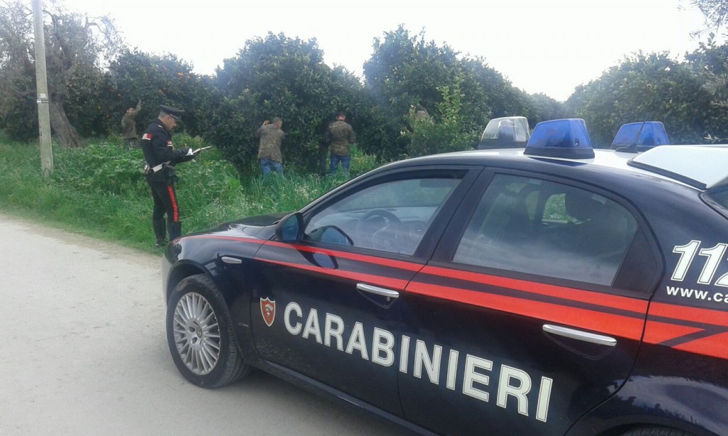 Caporalato e sfruttamento del lavoro nelle aziende agricole: denunciati 7 imprenditori, sospesa un’attività