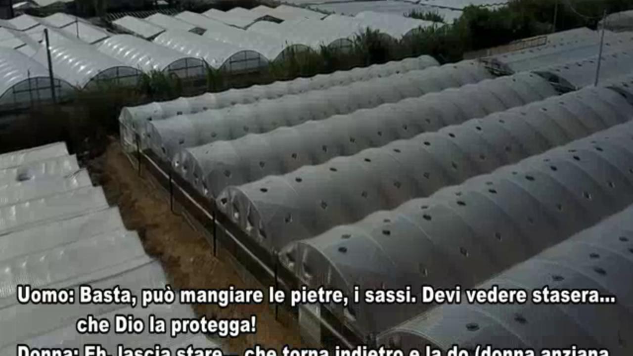 Caporalato a Ragusa, romeni ridotti in schiavitù, le intercettazioni: 'Gli farò mangiare pietre'