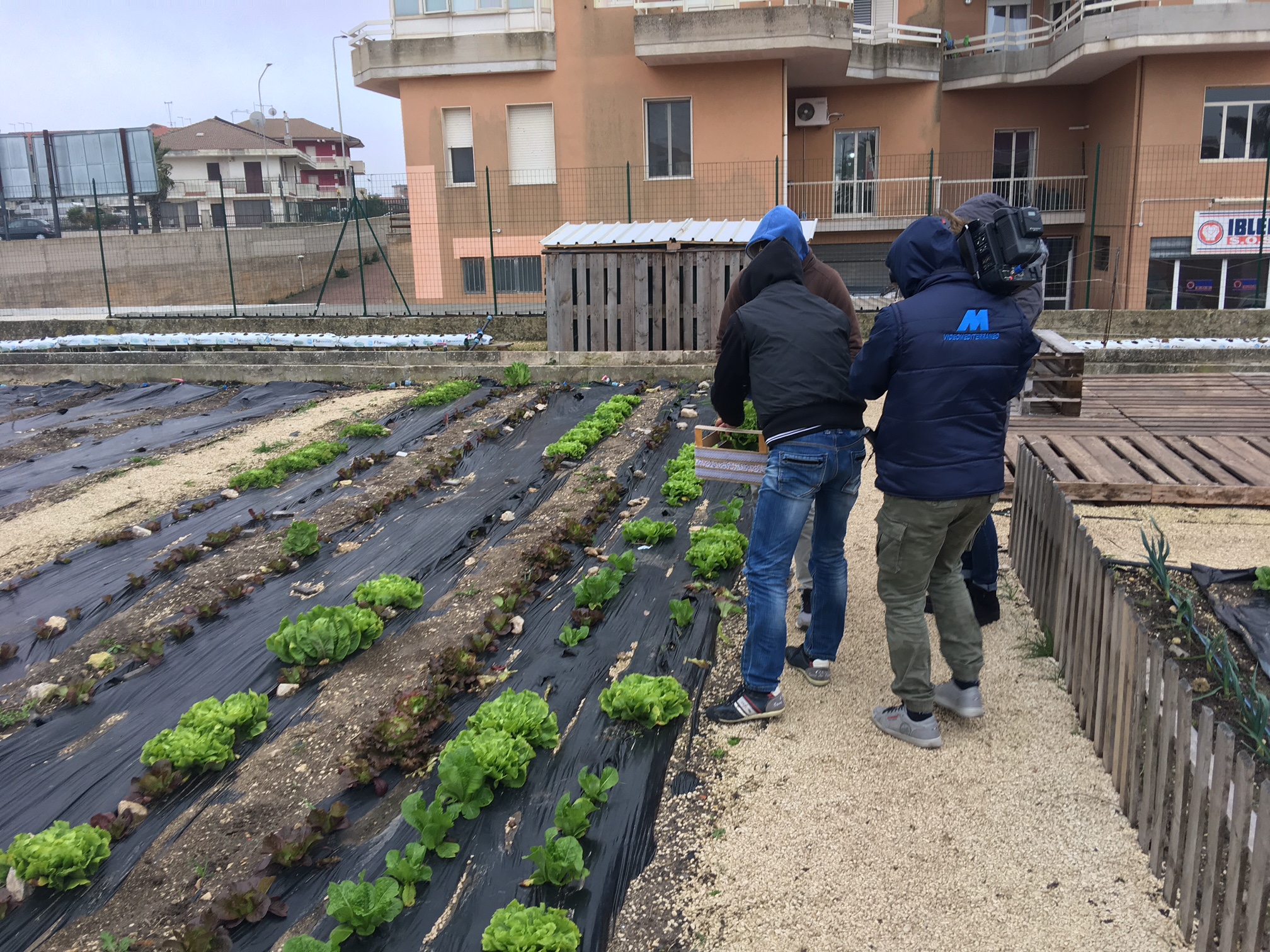 Consegnati questa mattina quattro orti sociali al Comune di Ragusa | Radio RTM Modica