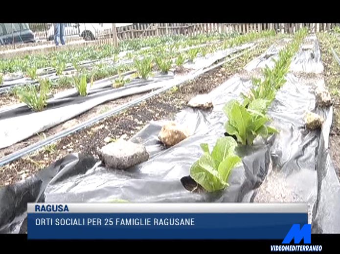 Ragusa - Orti Sociali per 25 Famiglie Ragusane