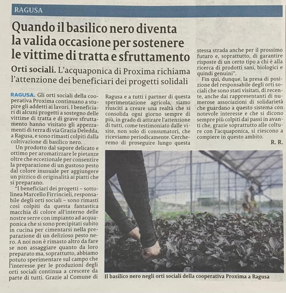 Quando il basilico nero diventa la valida occasione per sostenere le vittime di tratta e sfruttamento - La Sicilia