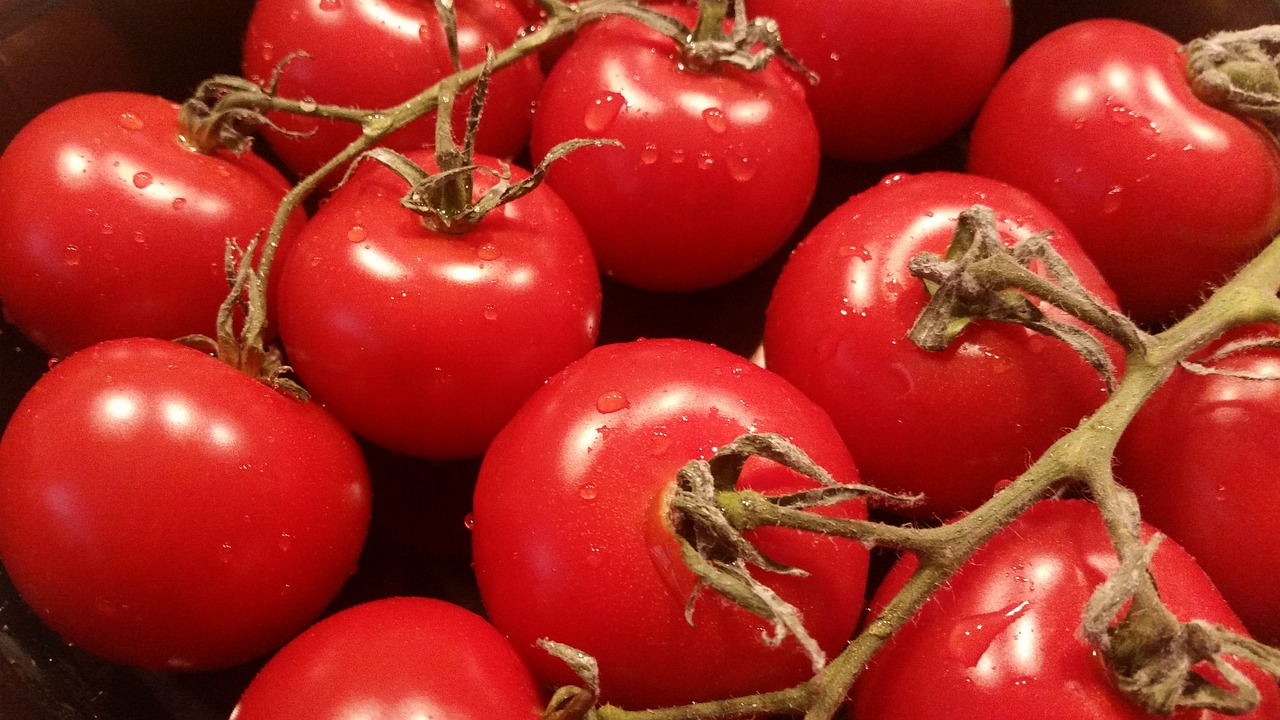 Le “schiave” romene dietro ai pomodori di Ragusa