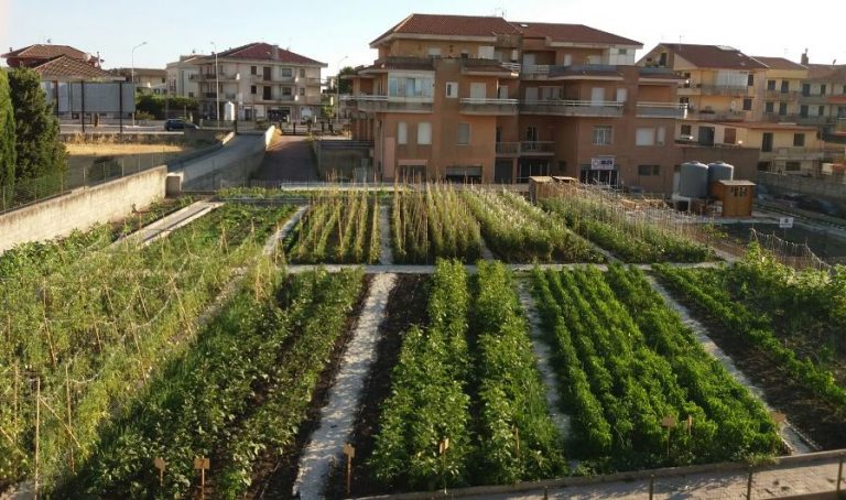 Orti sociali a Ragusa | Telenova Ragusa