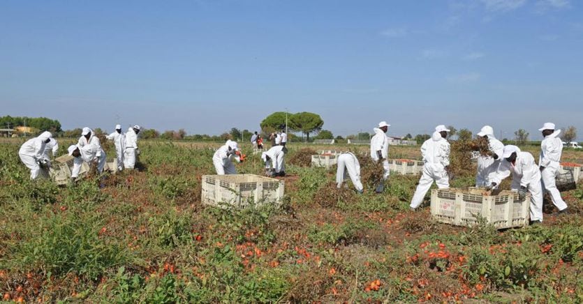 Per il reato di caporalato basta la paga non proporzionata al lavoro svolto