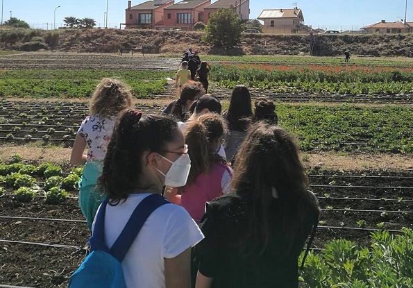 Una classe dell'istituto scolastico Quasimodo di Ragusa in visita agli orti sociali della cooperativa Proxima - Ragusa Oggi