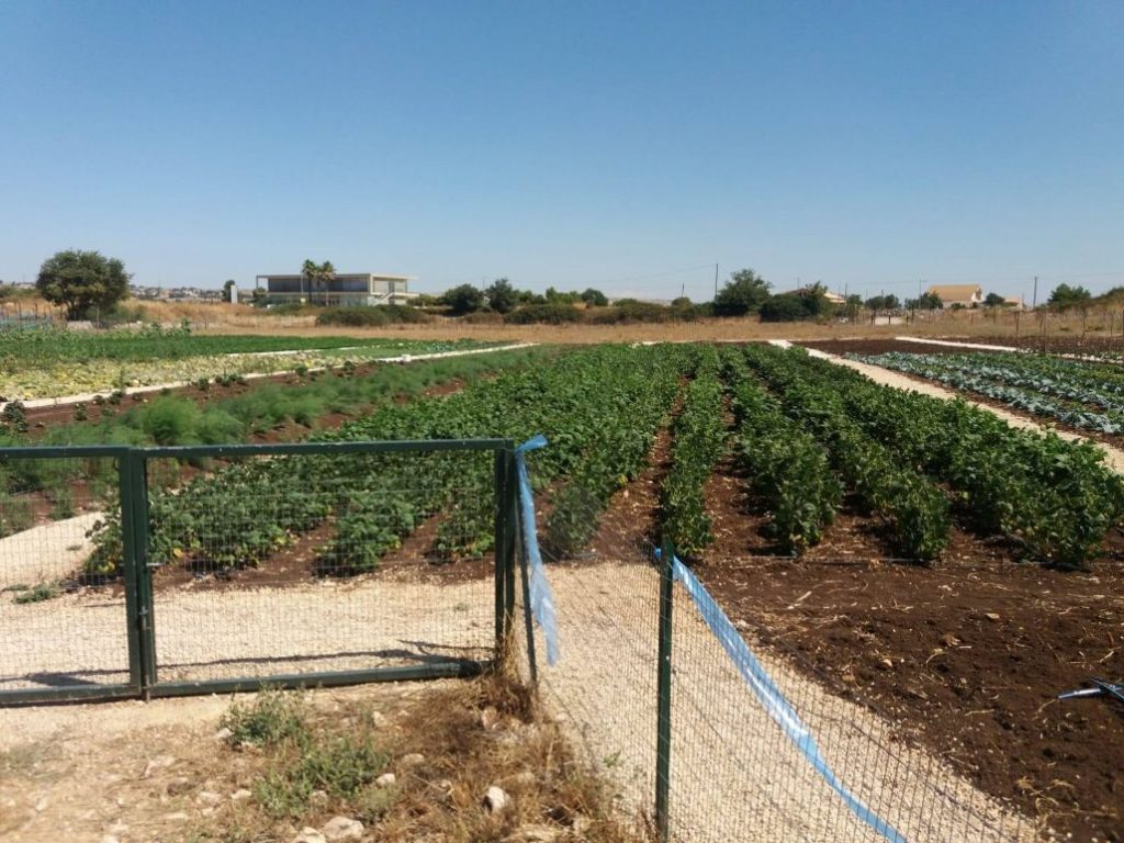 Ragusa. Riavviata l'attività degli orti sociali Proxima