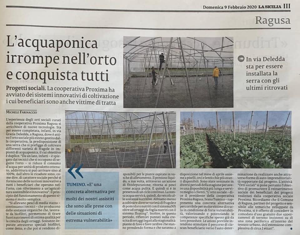 L'acquaponica irrompe nell'orto e conquista tutti - La Sicilia